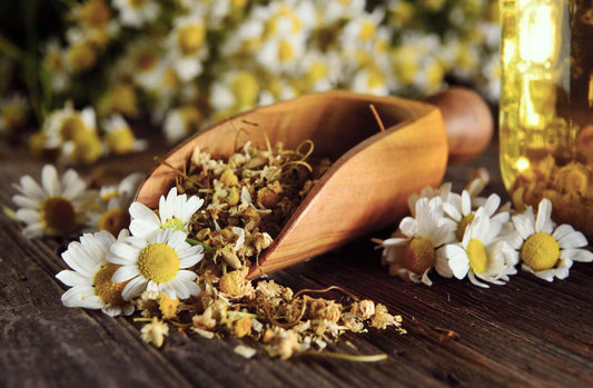 chamomile benefits by daily all day