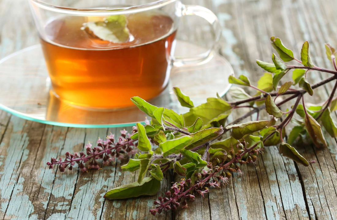 TULSI BENEFITS