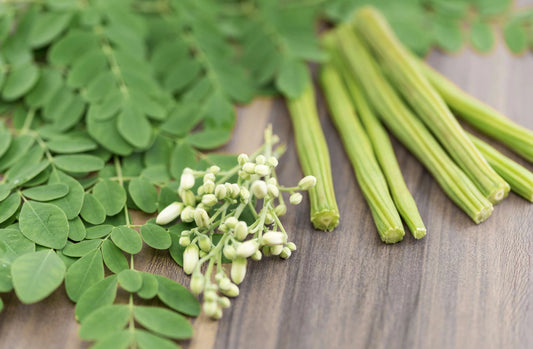 various benefits of moringa