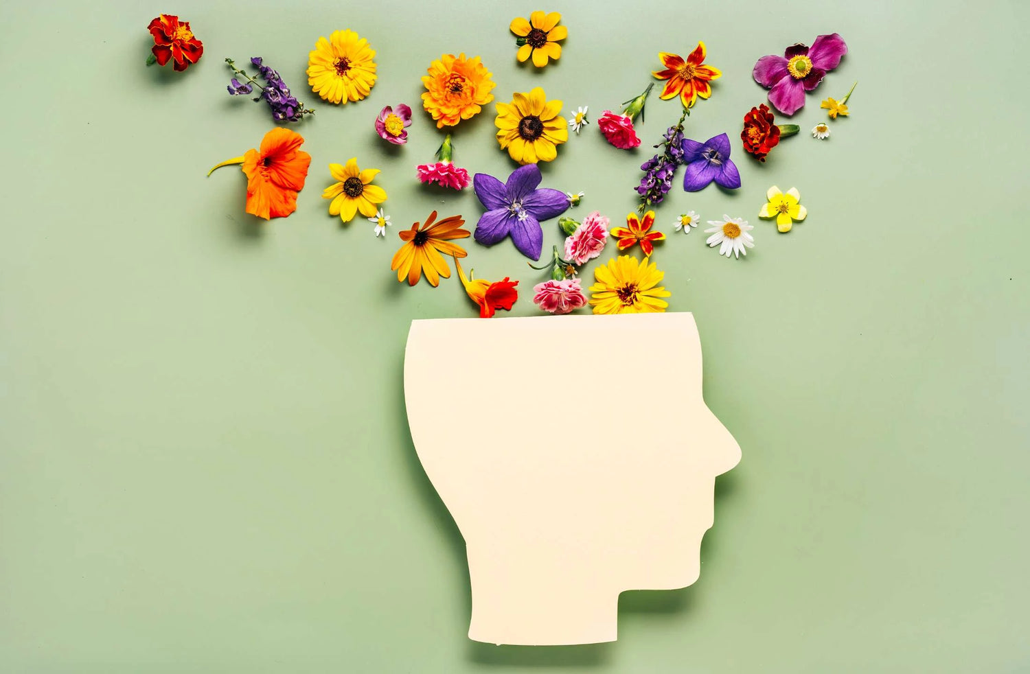 mental health ayurveda by daily all day