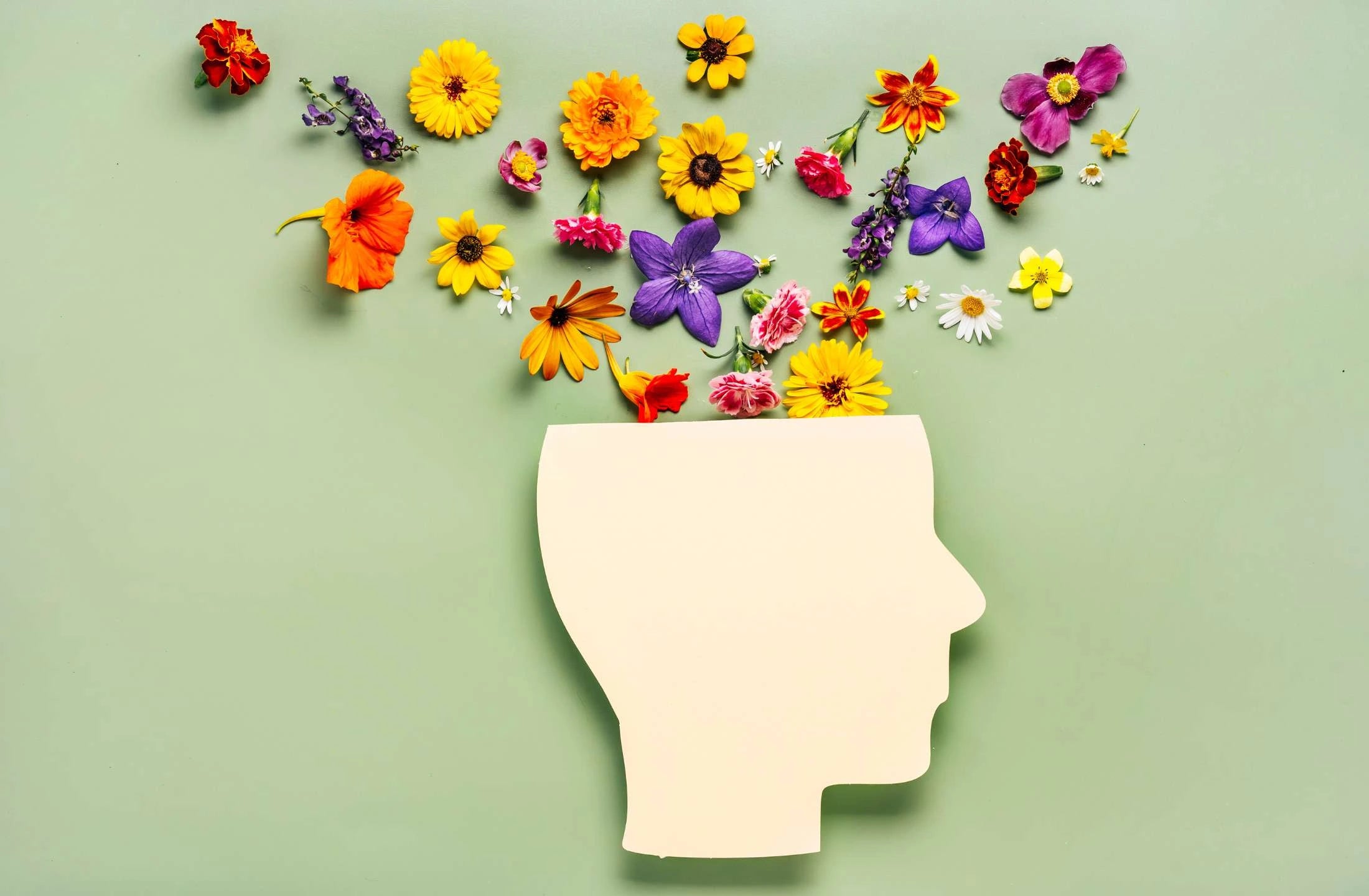 mental health ayurveda by daily all day