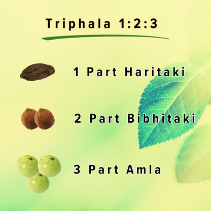 Daily All Day Triphala 1:2:3